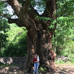 Meet your Posher, Lupe